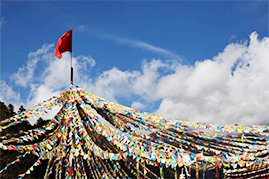 Crystal beads display counters nationwide chain of folk medicine